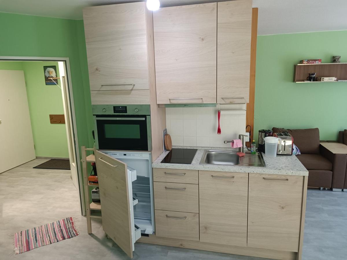 Marienkaefer Braunlage